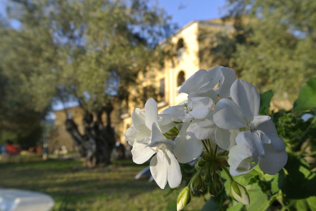 Maset Del Garraf ξενώνας Olesa de Bonesvalls Εξωτερικό φωτογραφία