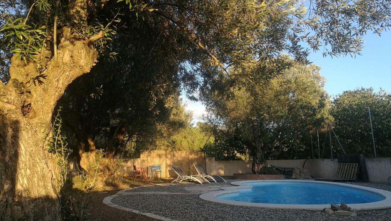 Maset Del Garraf ξενώνας Olesa de Bonesvalls Εξωτερικό φωτογραφία